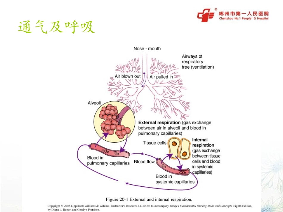 机械通气的生理知识_第3页