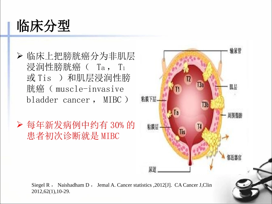 肌层浸润性膀胱癌保留膀胱术后不同辅助治疗方法疗效评价_第3页