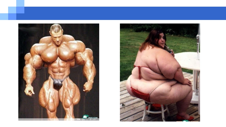 肌力肌张力概念和临床应用_第3页