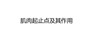 肌肉起止点及其作用