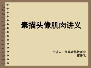 肌肉群素描头像头部肌肉讲义美术生必看