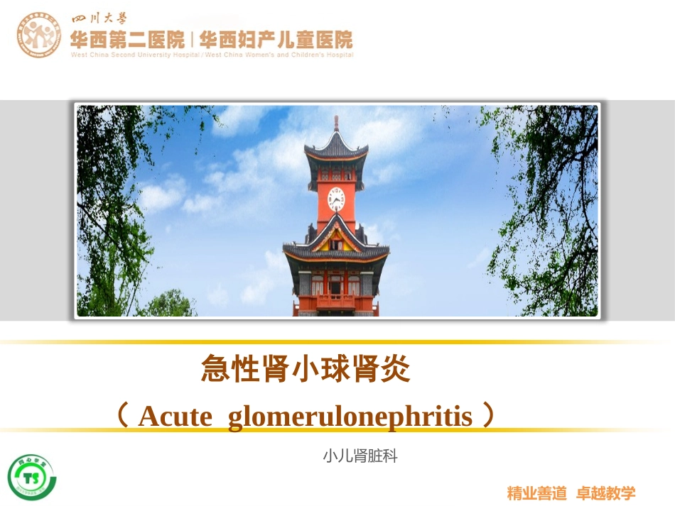 基础知识儿科儿科急性肾小球肾炎的护理_第1页