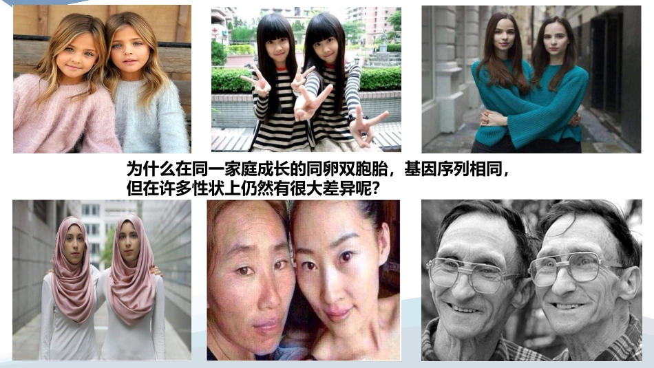 基因表达和性状的关系_第2页
