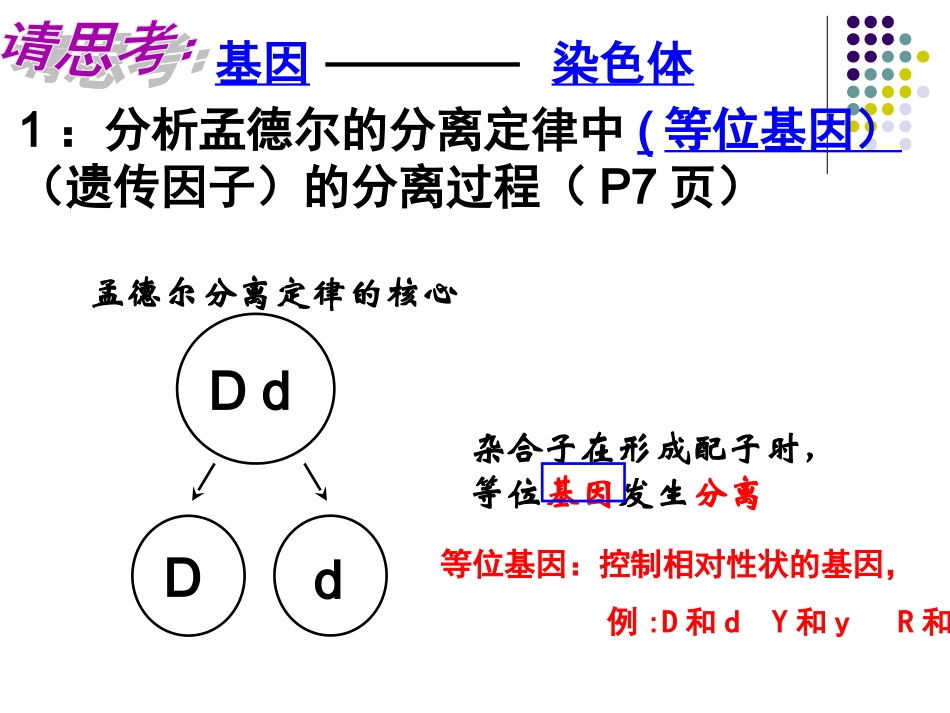 基因在染色体上公开课_第3页