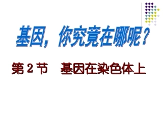 基因在染色体上公开课