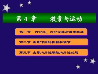 激素和运动运动生理学