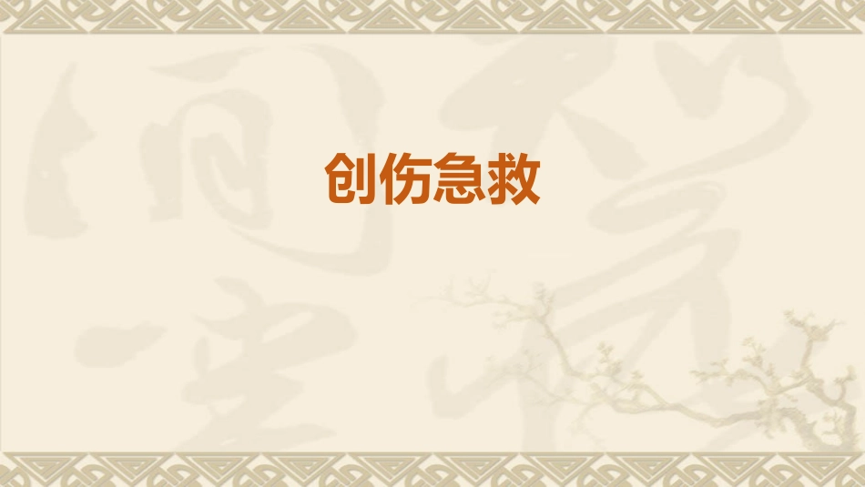 急救知识培训创伤急救_第2页