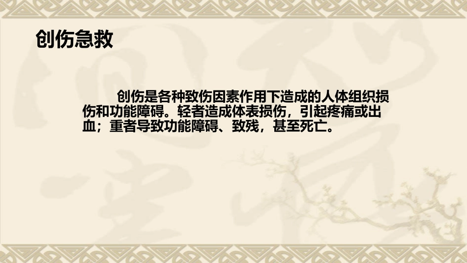 急救知识培训创伤急救_第3页