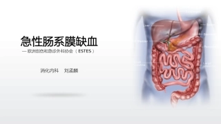 急性肠系膜缺血