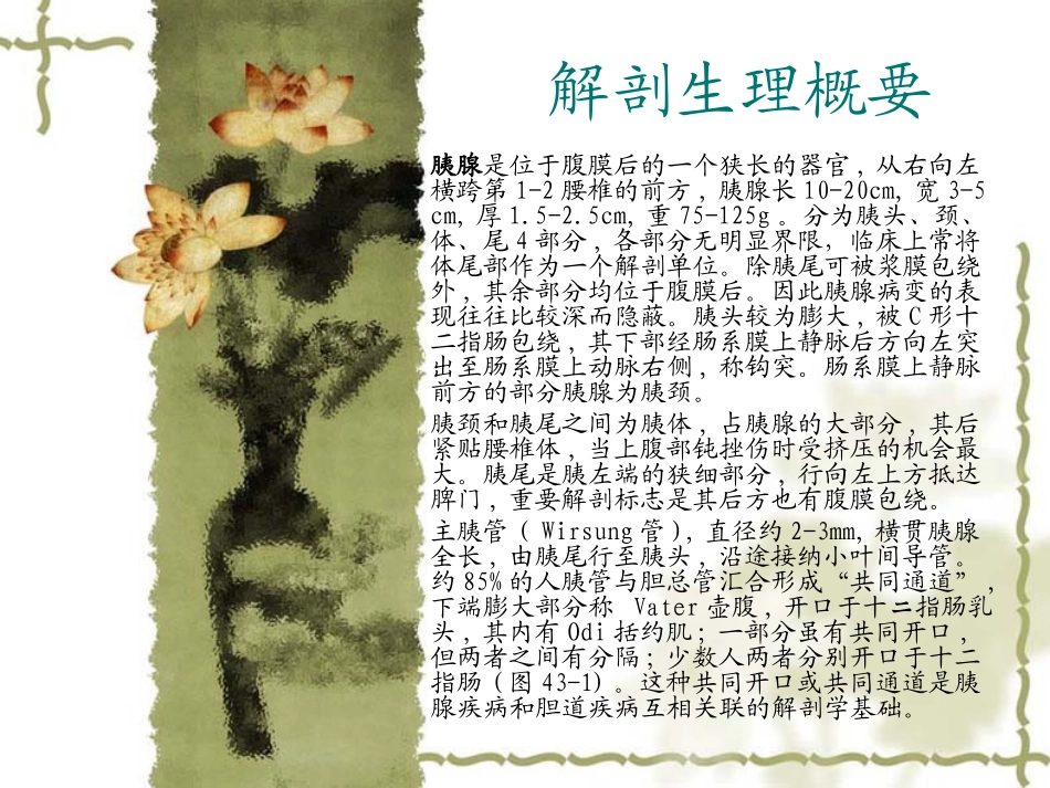 急性出血性坏死胰腺炎的护理查房修订版_第2页