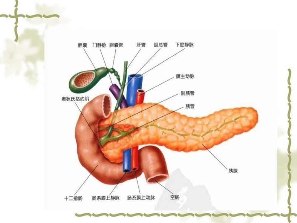 急性出血性坏死胰腺炎的护理查房修订版_第3页
