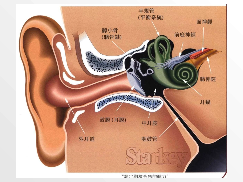 急性化脓性中耳炎精选幻灯片课件_第2页