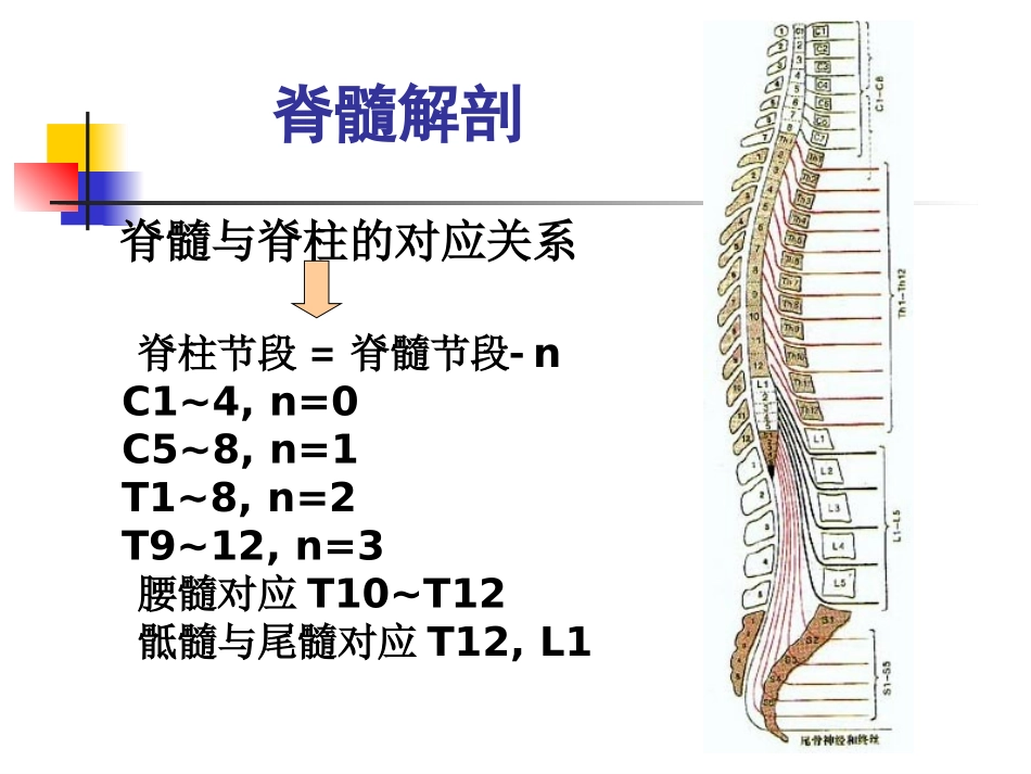急性脊髓炎分析_第3页