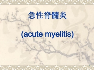急性脊髓炎课件