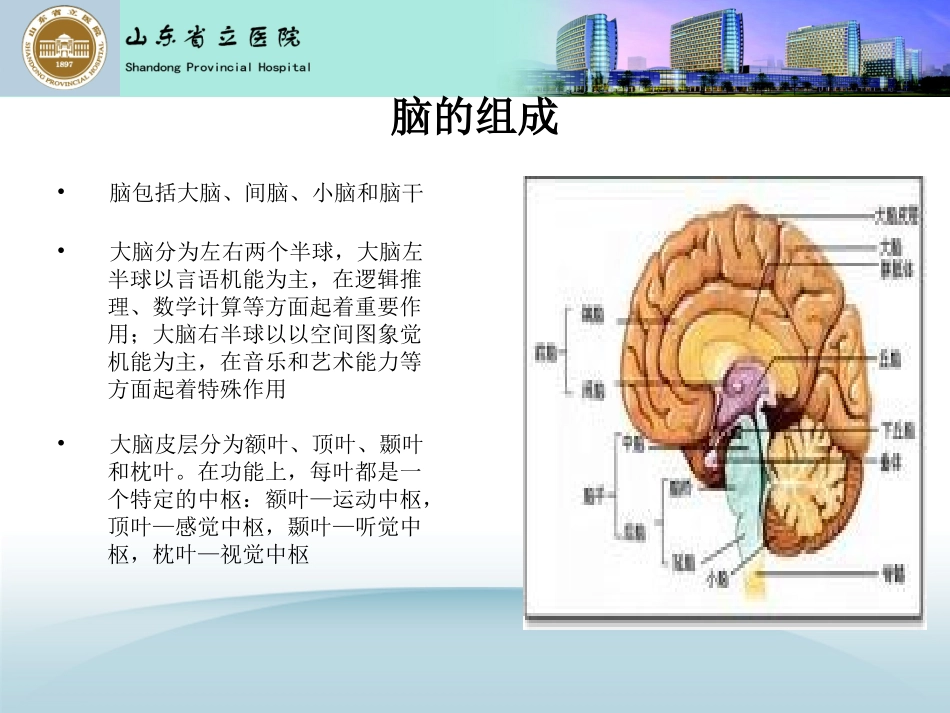 急性脑血管病_第3页
