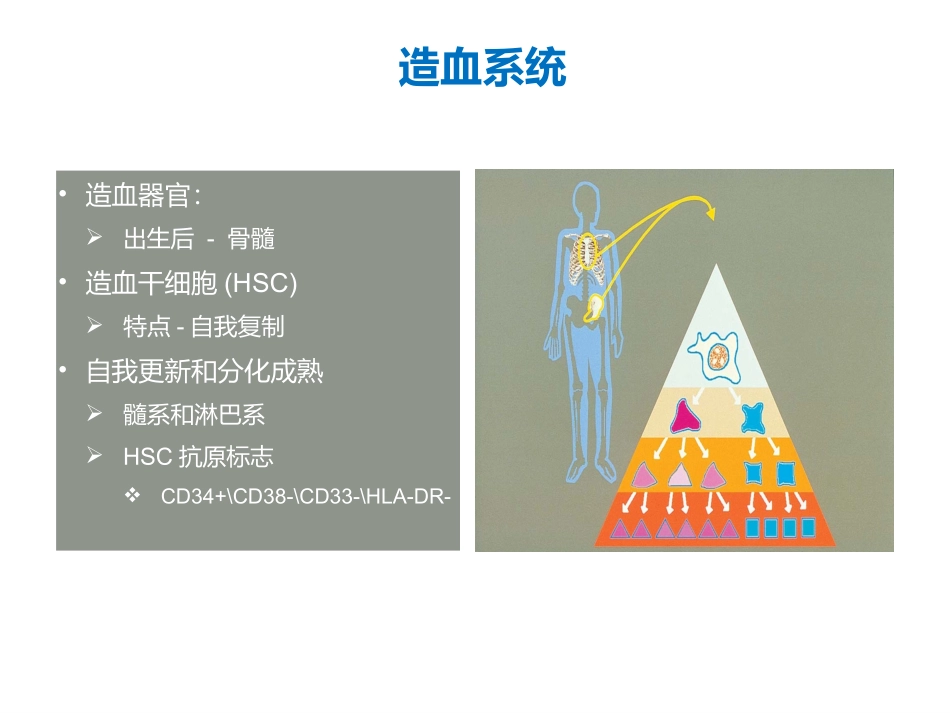 急性髓细胞白血病血液白血病_第3页