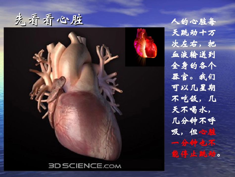 急性心梗的急救和护理_第2页