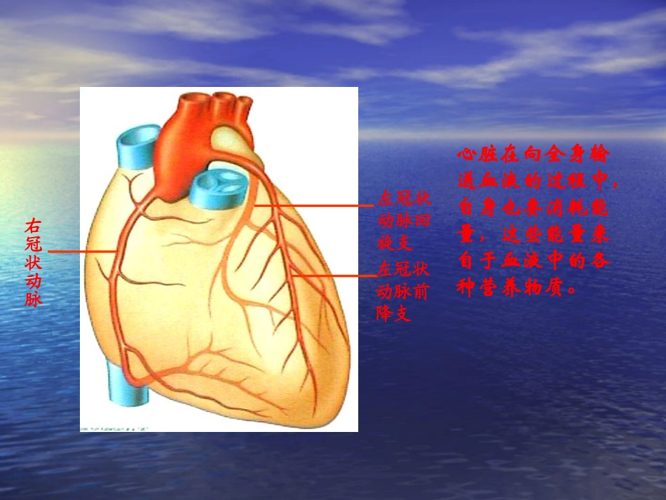 急性心梗的急救和护理_第3页