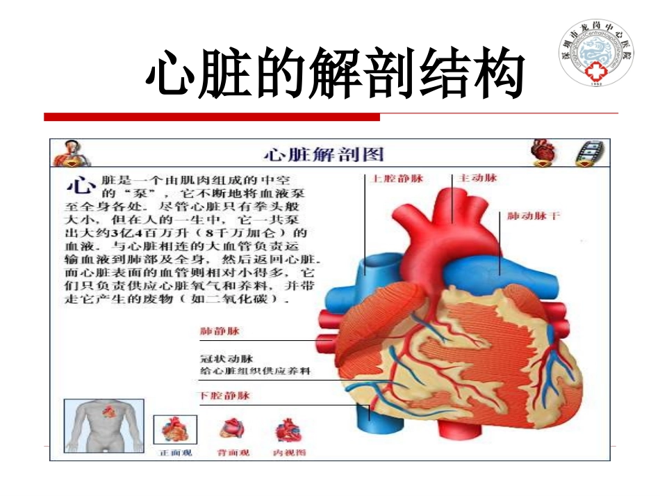 急性心肌梗死的护理_第2页