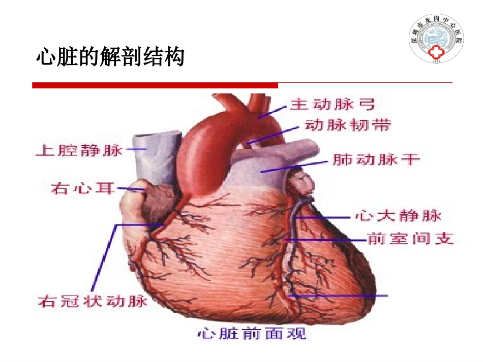 急性心肌梗死的护理_第3页