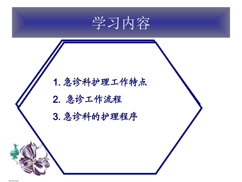 急诊工作流程_第3页