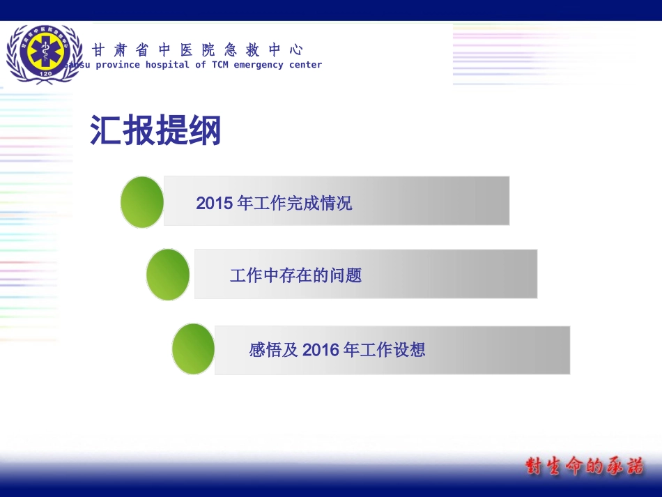 急诊科主任述职_第2页