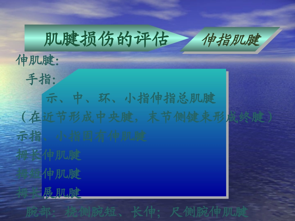 急诊手外伤的诊疗及处置原则_第3页