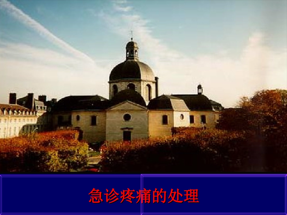 急诊疼痛的处置_第1页