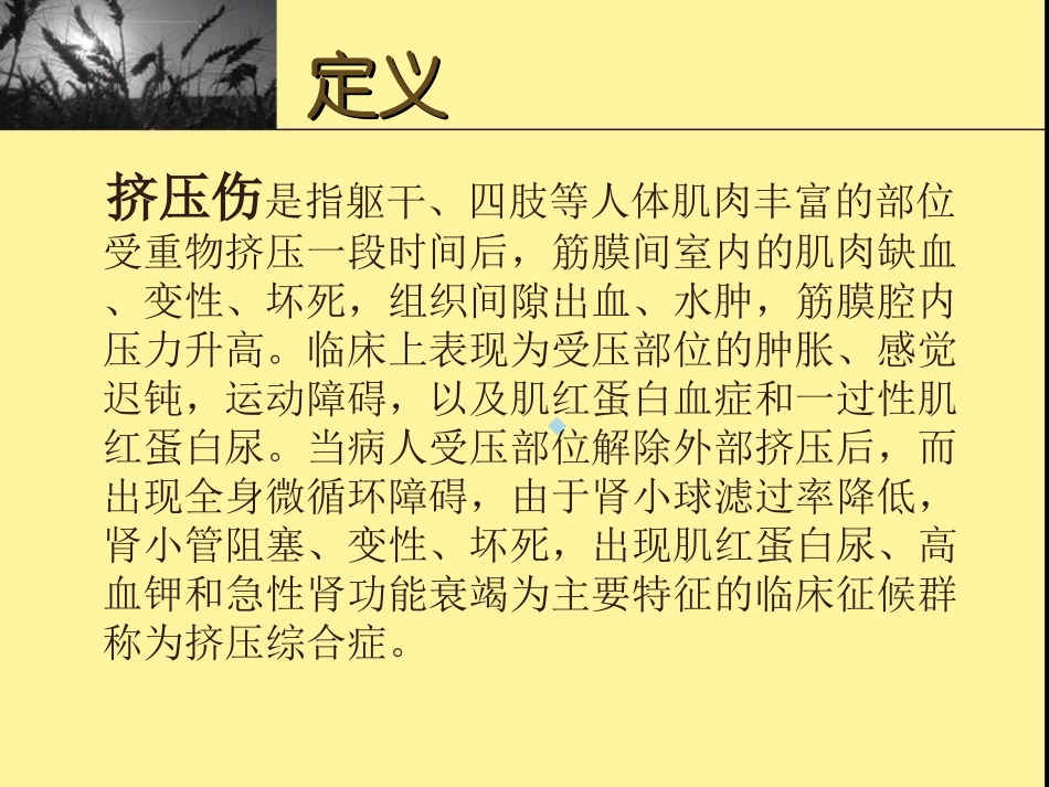 挤压伤及挤压综合课件_第2页