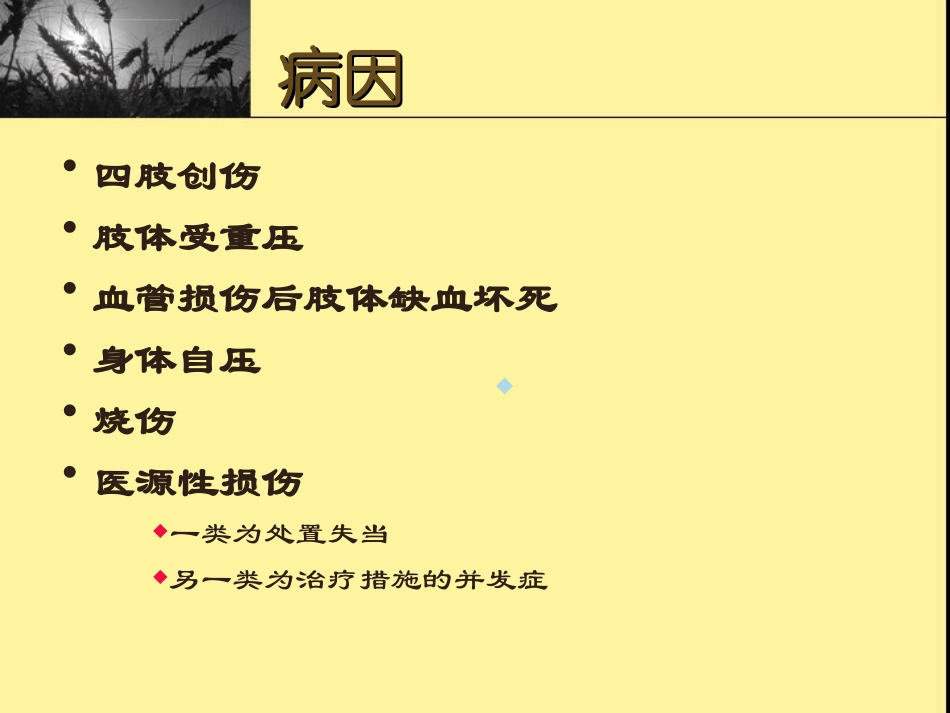 挤压伤及挤压综合课件_第3页