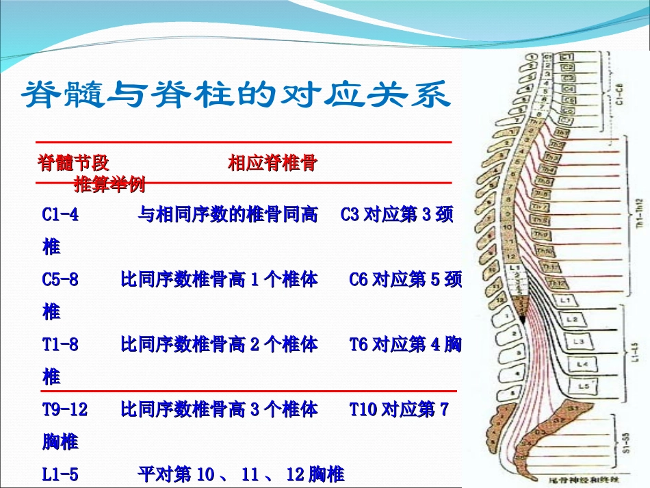 脊髓疾病总论_第3页