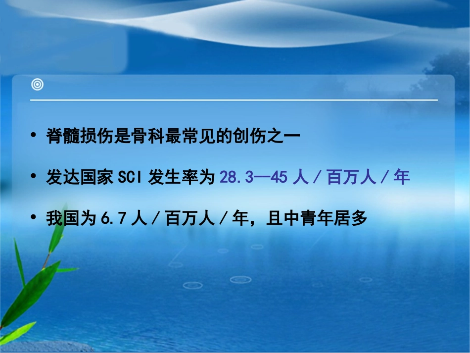 脊髓损伤的护理_第2页