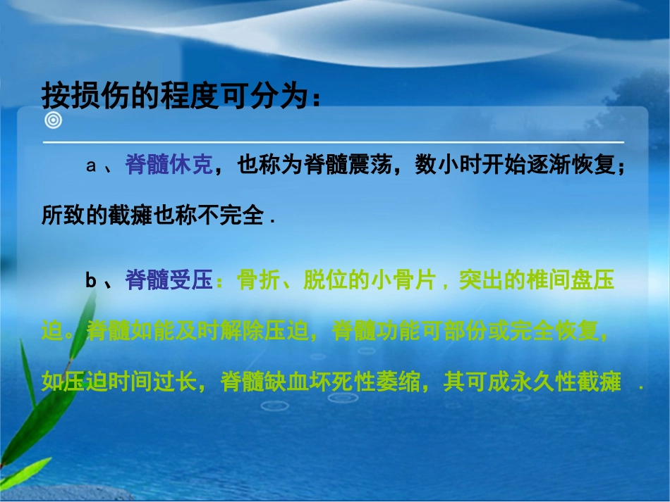 脊髓损伤的护理_第3页