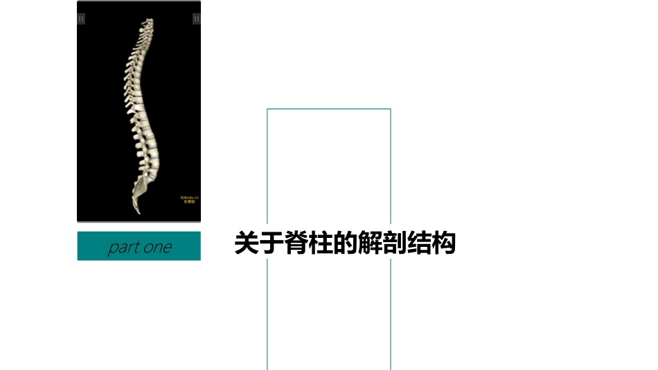 脊髓损伤课件_第3页