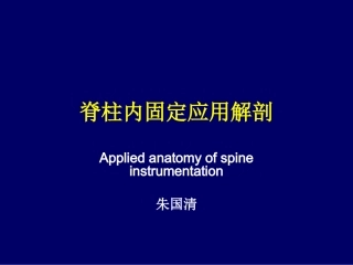 脊柱内固定应用解剖