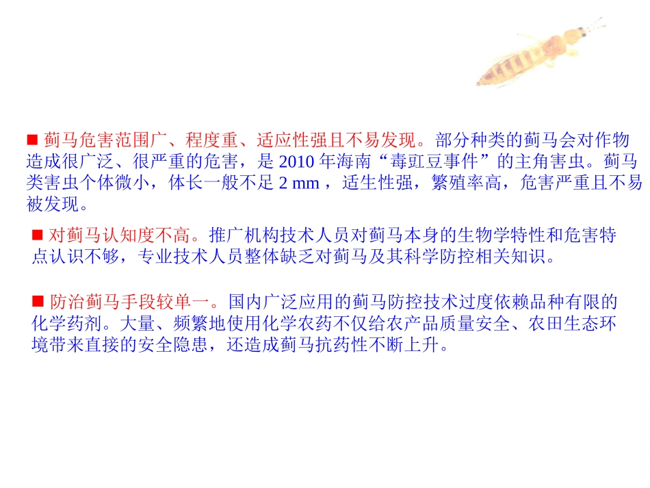 蓟马形态识别和综合防治技术_第3页