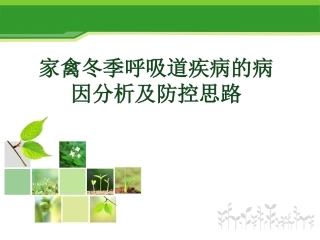 家禽冬季呼吸道病的治疗预防思路