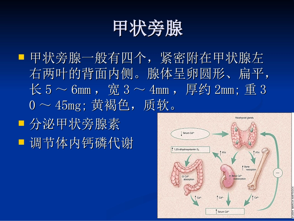 甲状旁腺功能亢进症七_第2页