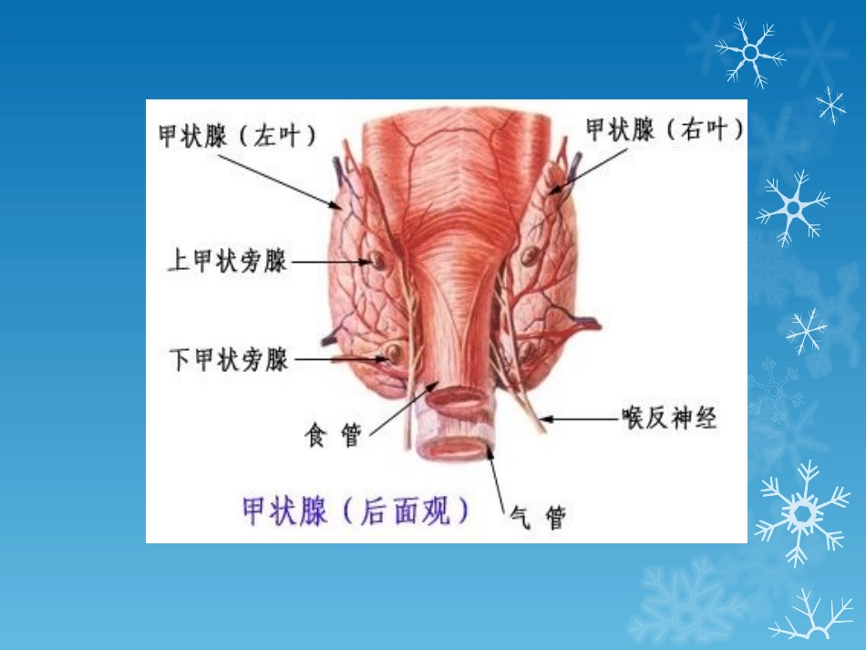 甲状腺疾病CT表现_第3页