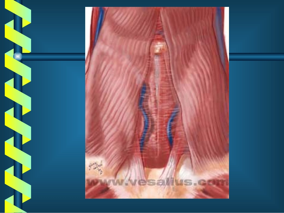 甲状腺疾病的外科治疗_第3页