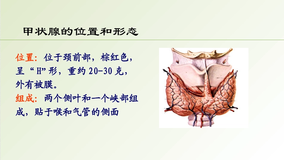 甲状腺疾病治疗中的TSH控制_第2页
