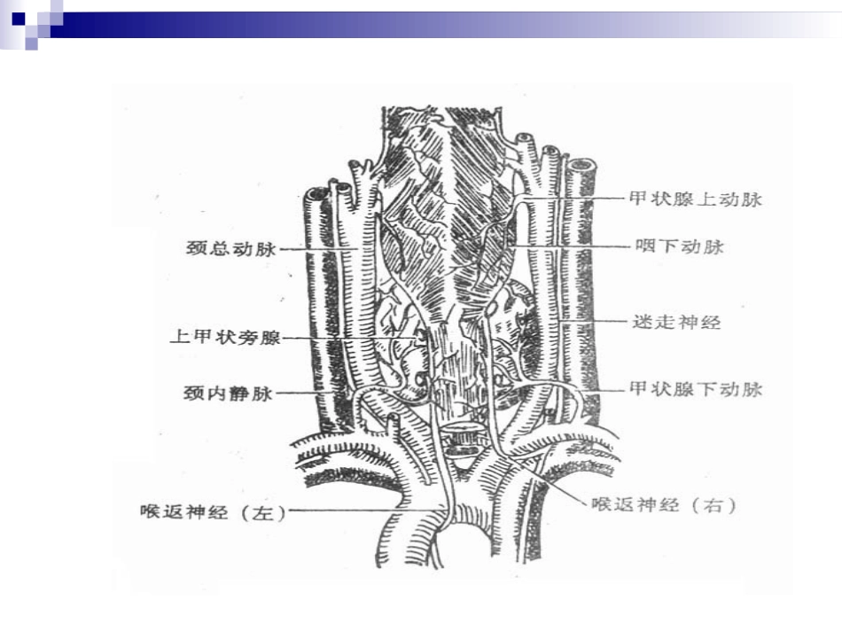甲状腺结节的诊疗和处置研究_第3页