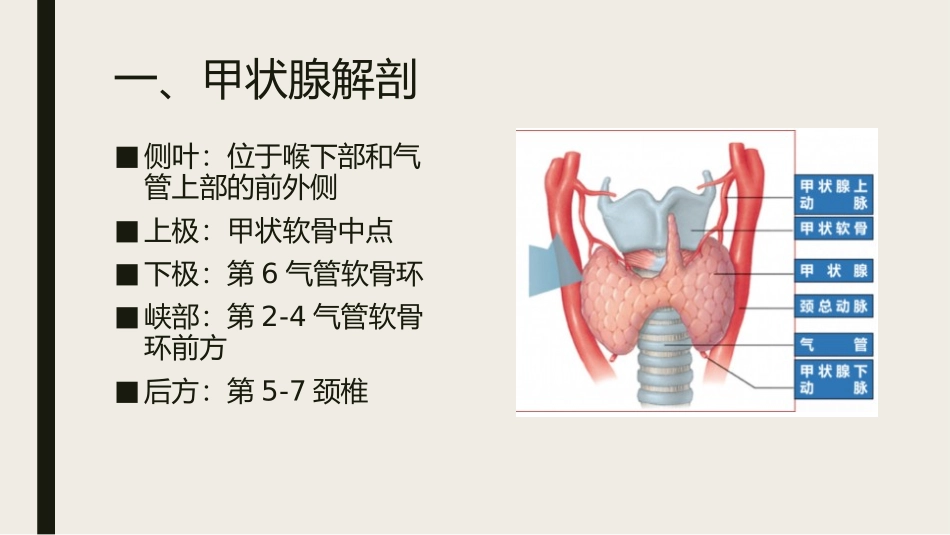 甲状腺结节性病变影像学表现_第2页