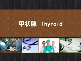 甲状腺局部解剖及临床