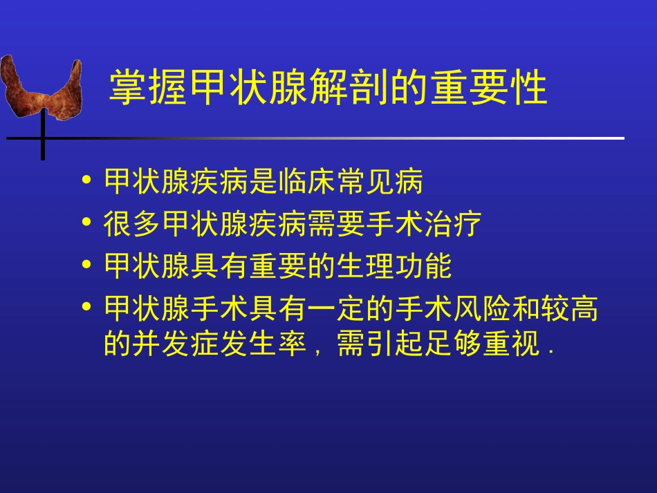 甲状腺生理解剖_第2页