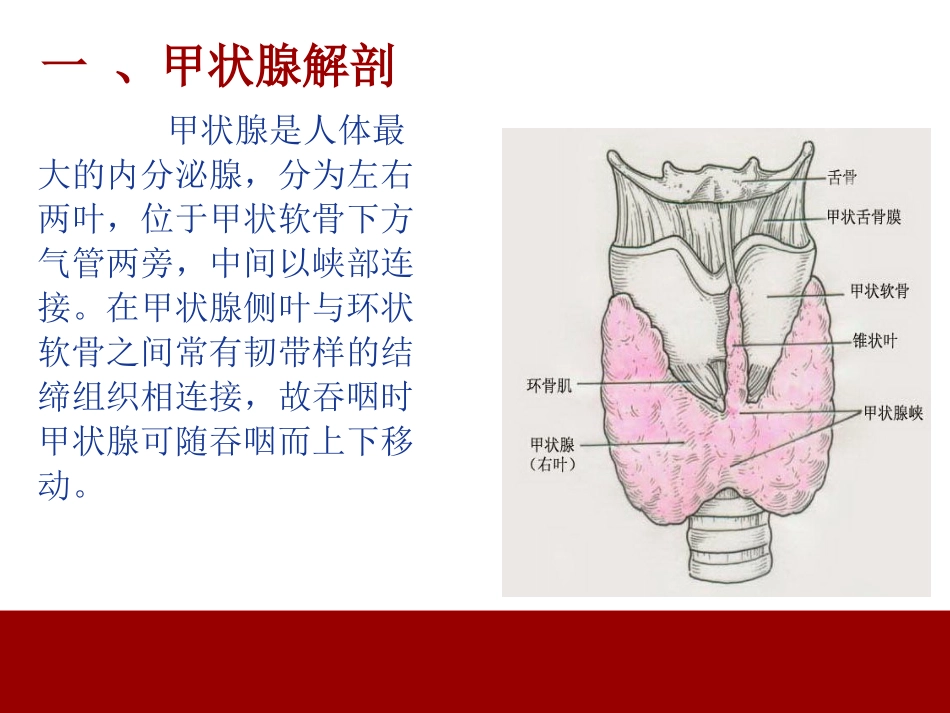 甲状腺围手术期的护理_第3页