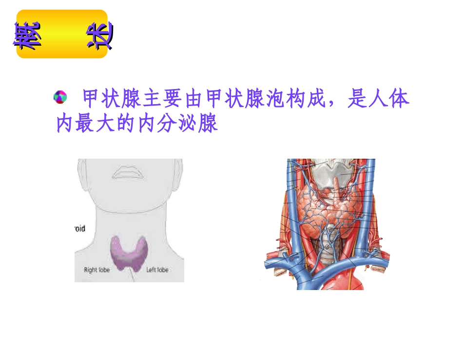 甲状腺肿大上课_第2页