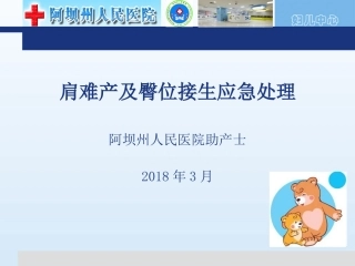 肩难产及臀位的应急处置课件