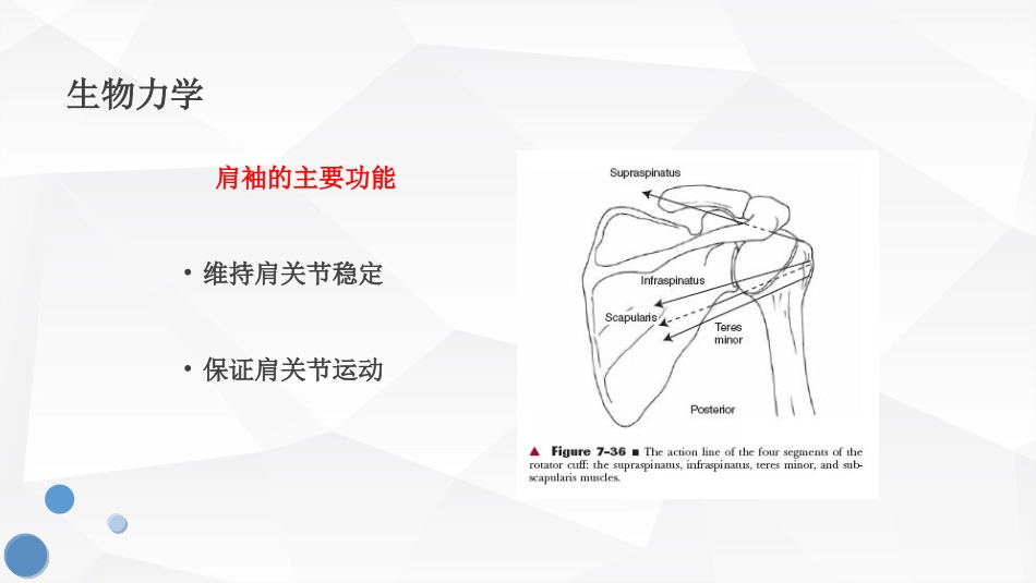 肩袖损伤护理查房_第3页