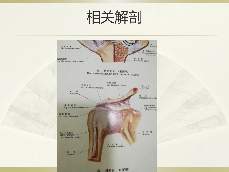 肩周炎的中医治疗_第3页